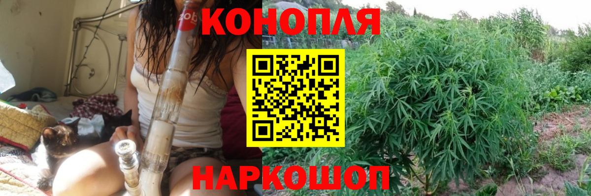 Конопля тримм  Вход с VPN  Ивантеевка  Конопля гибрид  Каннабис White Widow 
